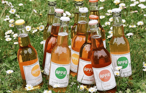 Photo des cidres Appie_ test produit gratuit _ sur tested4you, des tests et conseils de produits et de lieux en vidéo UGC authentiques Photo des cidres Appie_ test produit gratuit _ sur tested4you, des tests et conseils de produits et de lieux en vidéo UGC authentiques